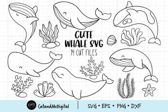 Download Cute Whale Svg - Cute whale Collection