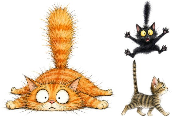 Download Whimsical Funny Cat PNG Bundle - Whimsical Collection